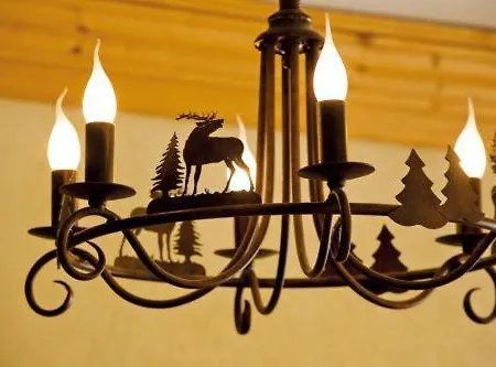 Hotel La Vanoise Peisey-Nancroix